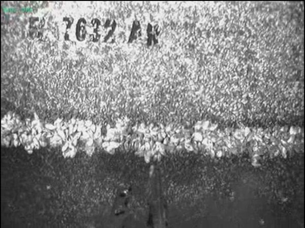 Zerwas Houseboat Reg numbers - Wreck found by Dan Scoville & Chris Koberstein 2012